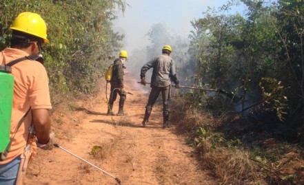 Treinamento para Combate a Incêndio Florestal