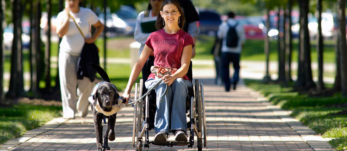 Woman in wheel chair with service animal 
