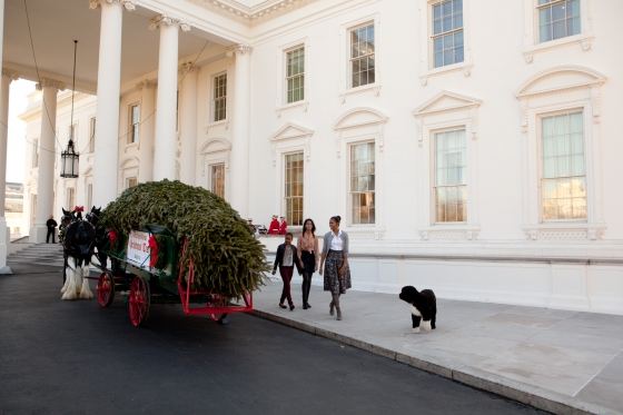 Receiving the White House Christmas tree