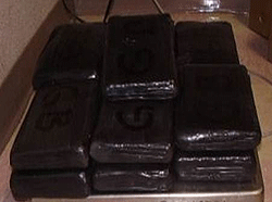Hard working CBP officers working in Brownsville, Texas found these 13 packages of alleged cocaine, valued at over $1 million, hidden in a pick-up truck at the Brownsville and Matamoros International Bridge crossing. The driver, truck and drugs were all seized. 