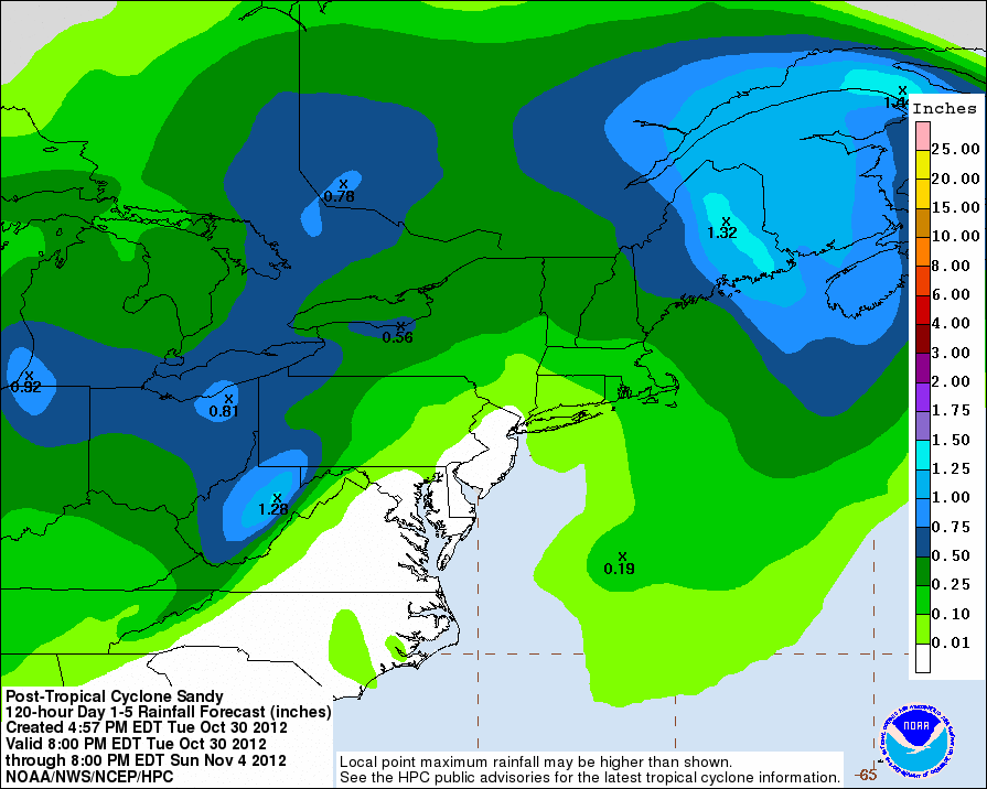 rainfall forecast