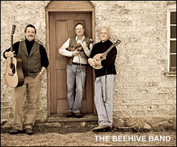 Image: The Beehive Band