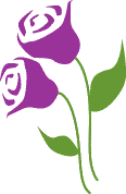 2 purple roses