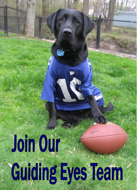 Image - Guiding Eyes Dog Wearing Eli Manning Jersey