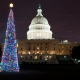 2011 Capitol Christmas Tree