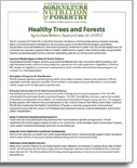 Healthy Trees and Forests