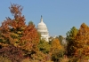 The Capitol Dome in Fall 2012