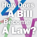 How a Bill Becomes a Law