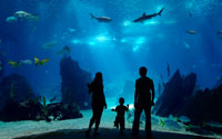 national aquarium