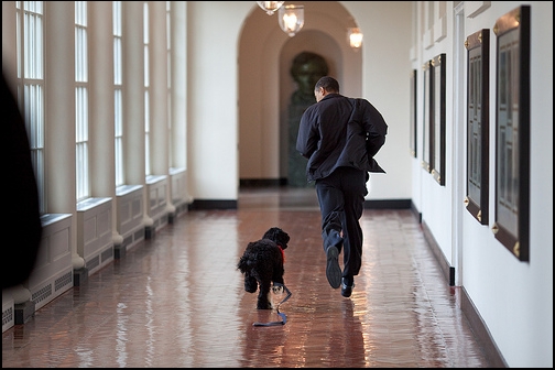 President Obama runs with Bo