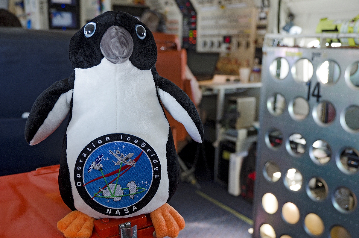 The IceBridge mascot aboard the NASA DC-8