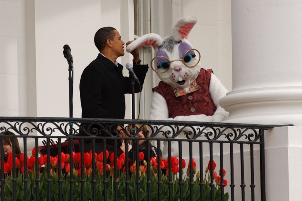 Easter Bunny Ear Microphone 