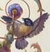 Birds of the Brumidi Corridors crop