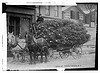 Load of Xmas trees, N.Y. (LOC) by The Library of Congress