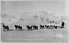 Col. Ramsay's entry, winning dog sled team of the 3rd All Alaska Sweepstakes, John Johnson, driver (LOC) by The Library of Congress