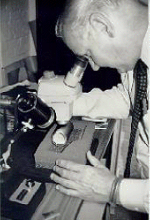 Recording engineer John Howell examines a wax cylinder recording for damage.