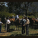 Mountaineers and farmers trading mules and horses on "Jockey St.," near the Court House, Campton, Wolfe County, Ky. (LOC)