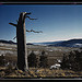 Moreno Valley, Colfax County, New Mexico (LOC)