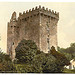 [Blarney Castle. County Cork, Ireland] (LOC)