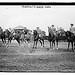 Monmouth Horse Show (LOC)