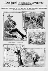 President Roosevelt is now hunting in the Louisiana canebrakes. (LOC)