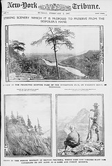 Striking scenery which it is proposed to save from the despoiler's hand. (LOC)