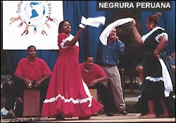 Image: Negrura Peruana