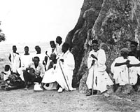informal group of men ranging in age talking under a baobab