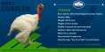 Thanksgiving Decision 2012: Cobbler or Gobbler?