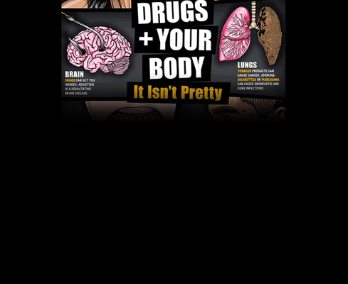 Drugs and Your Body Poster