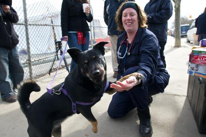 Photo: Nov. 16 - A National Veterinary Response Team from the Department of Health & Human Services was giving medical help to survivor pets in front of the St. Francis De Sales School located in Rockaway, NY. They provided free medical services and food to help survivor pets during Hurricane Sandy recovery.