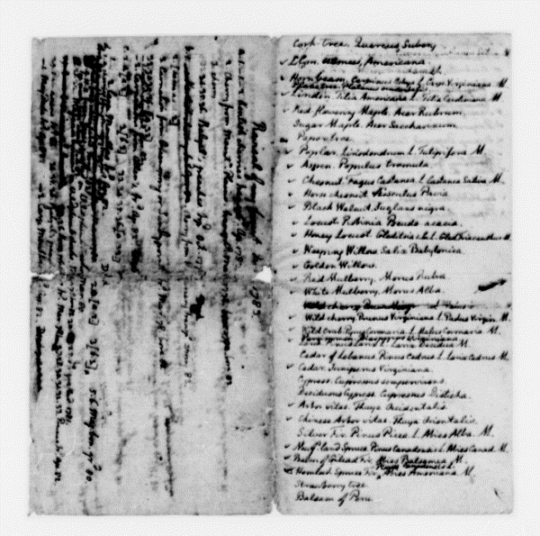 Image 2 of 100, Thomas Jefferson, July 1783, Notes on Trees and Fr