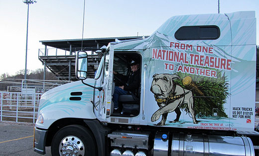 Every year, the Forest Service plays an integral role in providing the annual Capitol Christmas Tree from one of the agency's 155 national forests to bedazzle the U.S. Capitol lawn.
