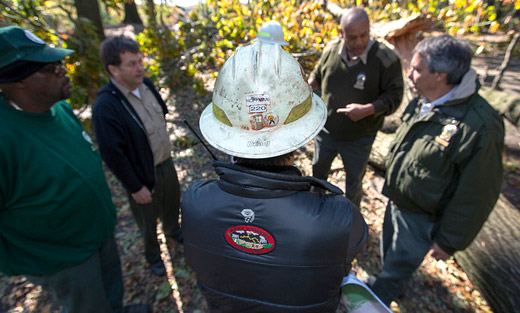 U.S. Forest Service Division Supervisor Jerry Hoffman meets with New York City Park officials about clearing Forest Park in Queens, NY of hazardous downed trees to make it safe for residents in the area.