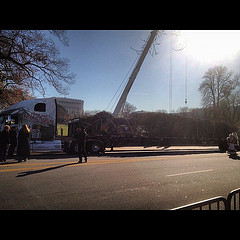 Capitol Tree has arrived.