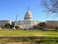 Capitol Christmas Tree nearly in place on West Front.