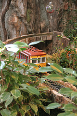 Season's Greenings at the U.S. Botanic Garden