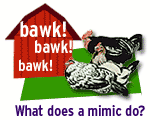 What does a mimic do?