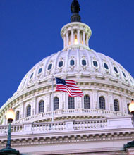 U.S. Capitol Flag