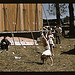 At the Vermont state fair, Rutland, "backstage" at the "girlie" show (LOC)