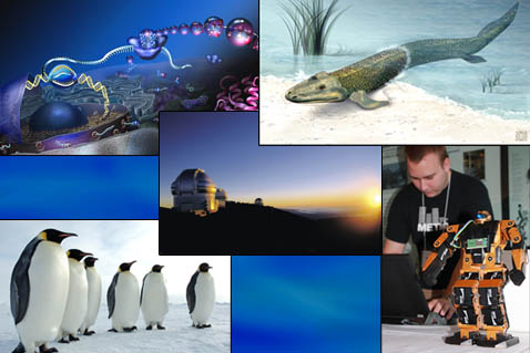 Cell, fossil fish, the Gemini North Observatory, Antarctic penguins, researcher, and a robot