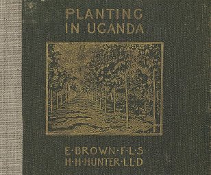 Planting in Uganda. Coffee—Para Rubber—Cocoa