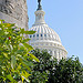 The Capitol Dome in Early Spring