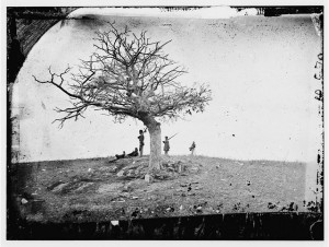 A Lone Grave, Antietam, Maryland. Glass negative by Alexander Gardner, 1862. http://hdl.loc.gov/loc.pnp/cwpb.01110