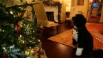 Bo Inspects the 2012 White House Holiday Decorations