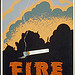 Fire wrecks a forest (LOC)