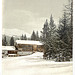 [Winter scene with log structure, Grisons, Switzerland] (LOC)