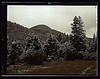 First snow of the season in the foothills of the Little Belt Mountains, Lewis and Clark National Forest, Meagher County, Montana (LOC) by The Library of Congress