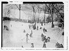 Coasting - Central Park (LOC) by The Library of Congress