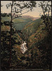 [Rheidol Falls, from Devil's Bridge, Aberystwith, Wales] (LOC) by The Library of Congress